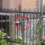 Close To Golf Executive With Balcony Apartamento Rapallo
